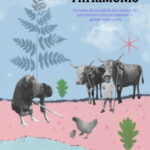 baner-certame-imaxes_GAL